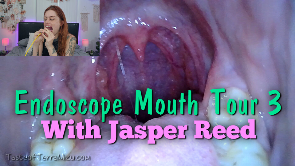 Endoscope Mouth Tour 3 - Jasper Reed