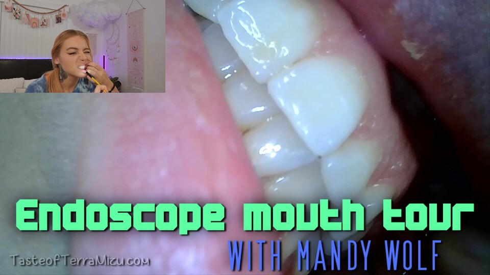 Endoscope mouth tour - Mandy Wolf