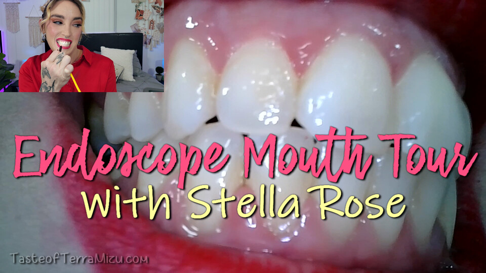 Endoscope Mouth Tour - Stella Rose