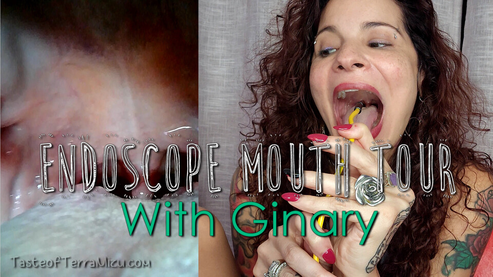 Endoscope Mouth Tour - Ginary