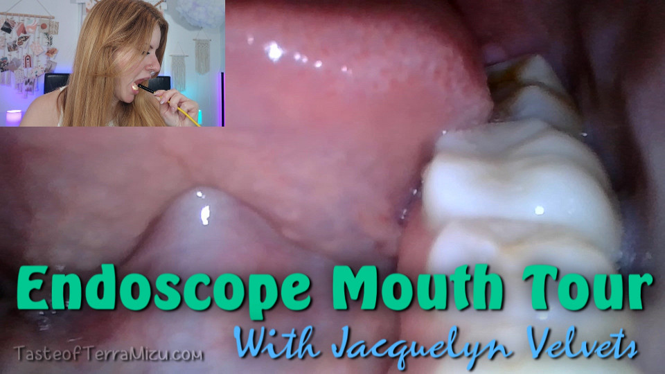 Endoscope Mouth Tour - Jacquelyn Velvets