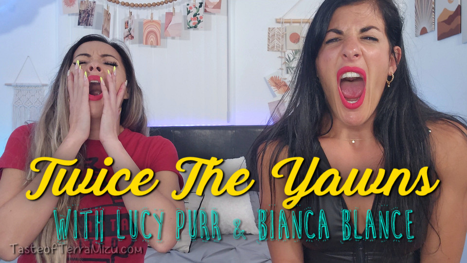Twice the Yawns - Lucy Purr and Bianca Blance