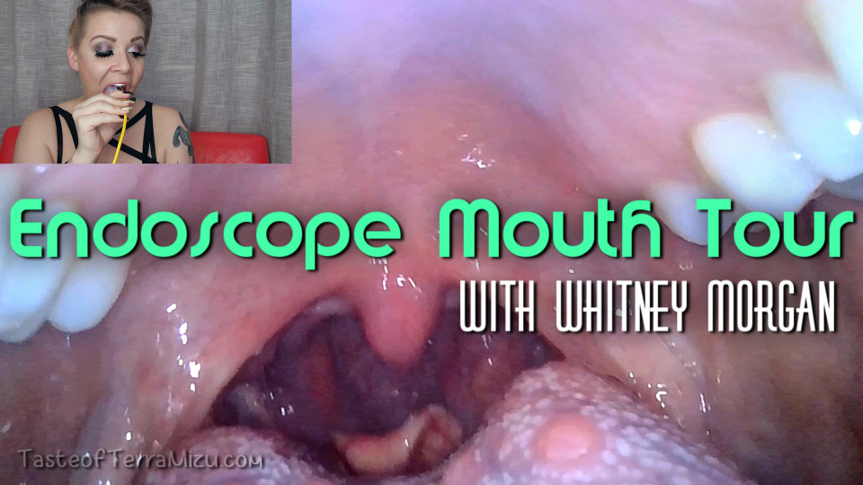 Endoscope Mouth Tour - Whitney Morgan