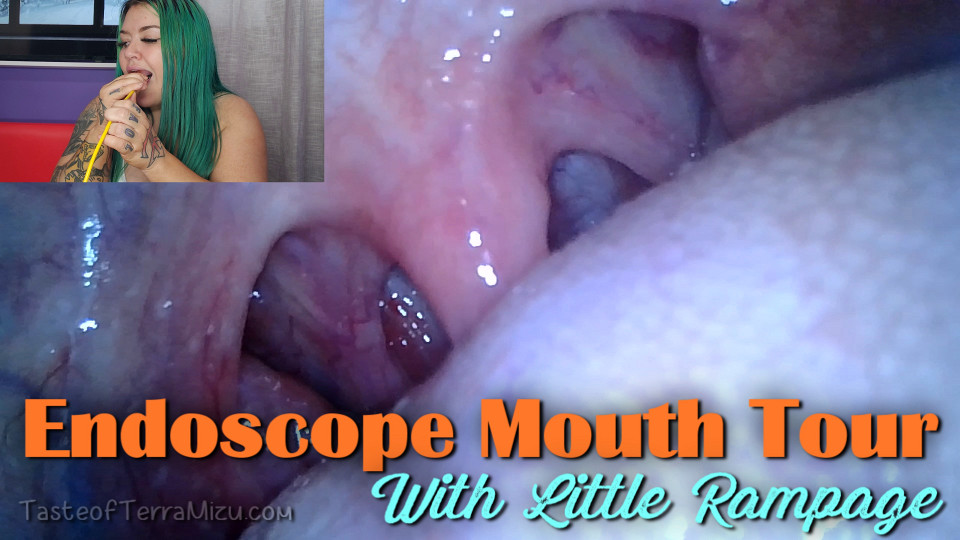 Endoscope Mouth Tour - Little Rampage